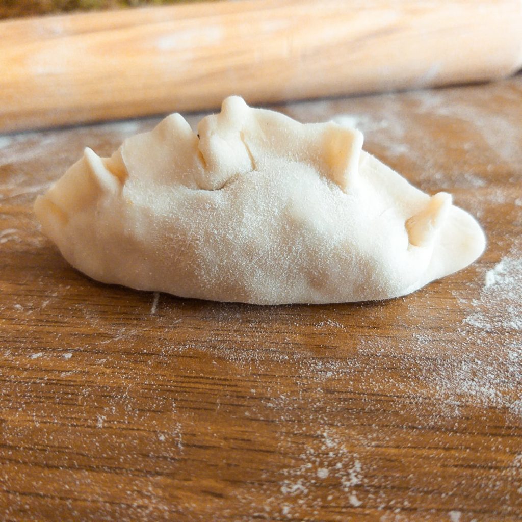 Ravioli Gyoza