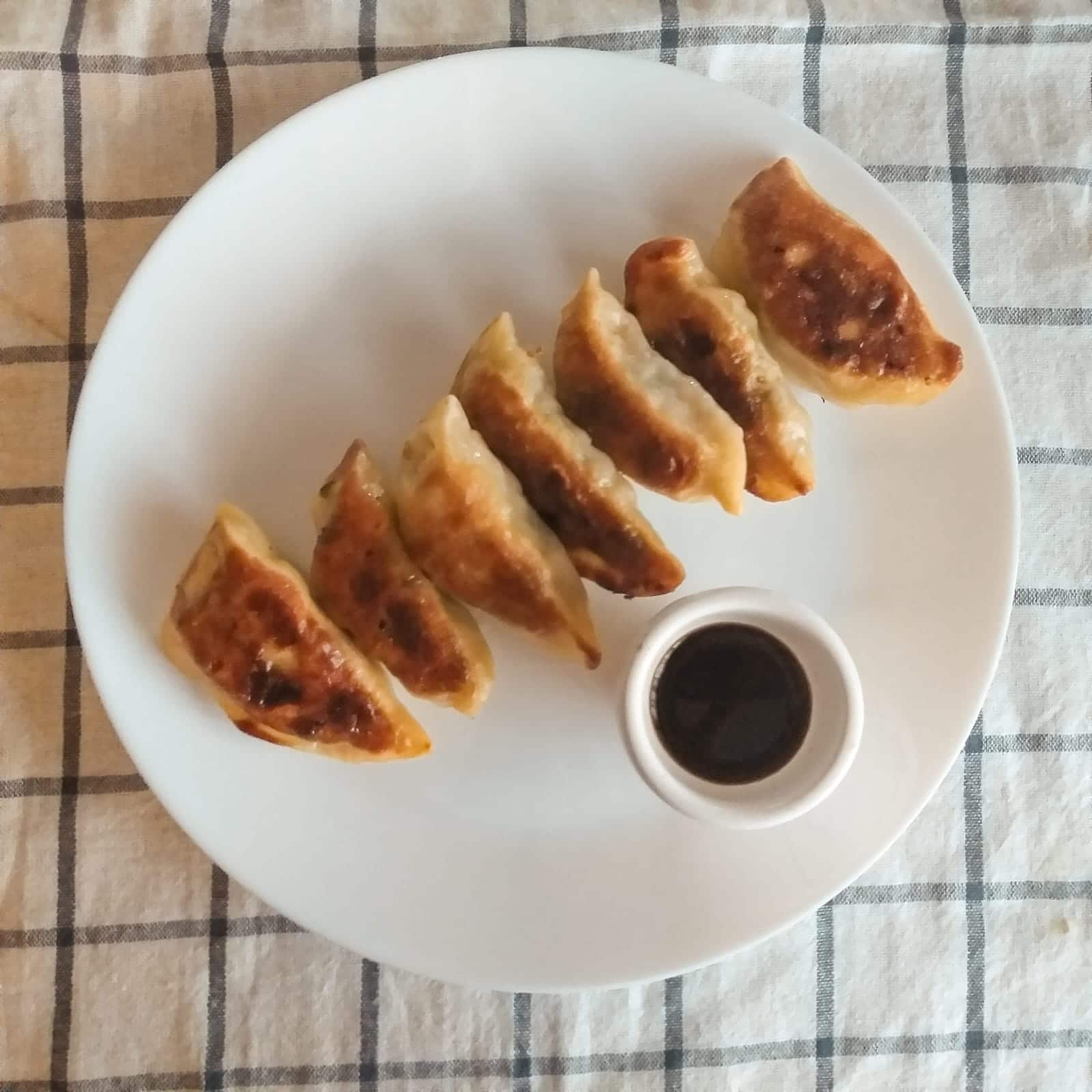 Ravioli Gyoza