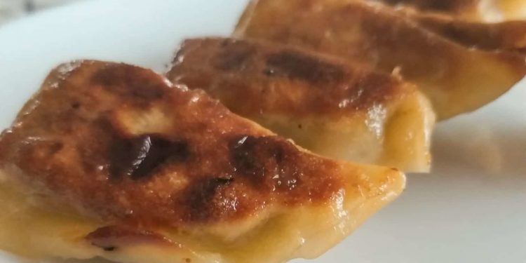 Ravioli Gyoza